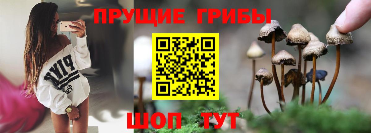 Галлюциногенные грибы Magic Shrooms  сколько стоит  Вход с VPN  Ростов-на-Дону  Псилоцибиновые грибы Cubensis 